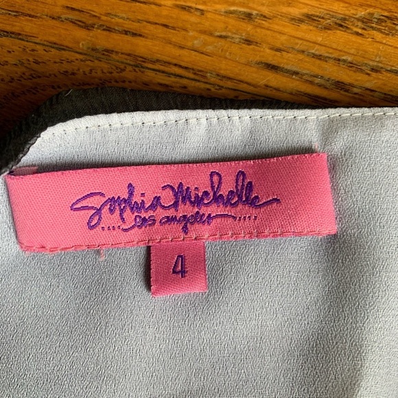 Sophia‎ Michelle LA Sheer Chiffon Skirt - Picture 11 of 12